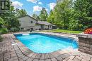 8071 4Th Line, Essa, ON  - Outdoor With In Ground Pool With Deck Patio Veranda With Backyard 