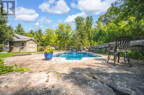 8071 4Th Line, Essa, ON - Outdoor With In Ground Pool