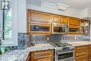 Bsmt - 217 Mutual Street, Toronto, ON  - Indoor Photo Showing Kitchen With Upgraded Kitchen 