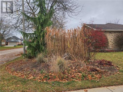 View of yard - 551 Hallmark Drive, Waterloo, ON - Outdoor