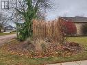 View of yard - 551 Hallmark Drive, Waterloo, ON  - Outdoor 