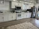 1606 Norwill Crescent, Oshawa, ON  - Indoor Photo Showing Kitchen With Double Sink 