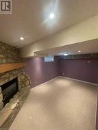 Basement with carpet flooring and a stone fireplace - 