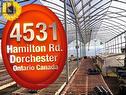 4531 Hamilton Road, Thames Centre (Dorchester), ON 