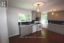 291 Dixon Boulevard, Newmarket, ON  - Indoor Photo Showing Kitchen 