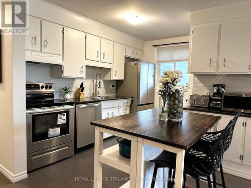 173 Fergus Avenue E, Kitchener, ON - Indoor Photo Showing Kitchen With Stainless Steel Kitchen