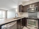 317-60 Via Rosedale  N, Brampton, ON  - Indoor Photo Showing Kitchen With Double Sink With Upgraded Kitchen 