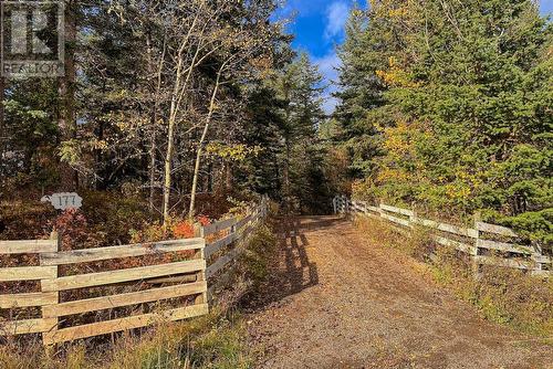 177 Woodland Drive, Williams Lake, BC - Outdoor With View