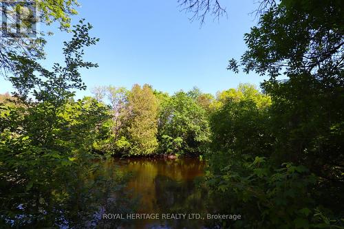 3 Basswood Drive, Kawartha Lakes, ON - Outdoor With View