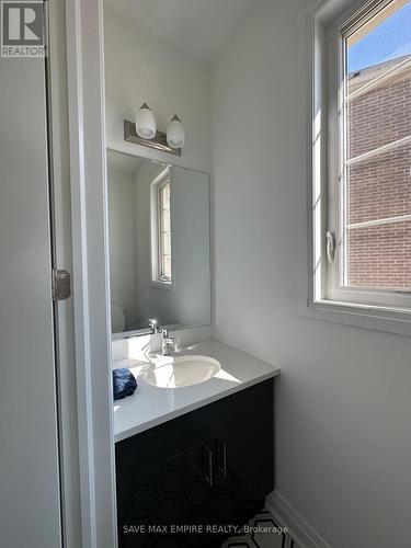 1729 Thames Circle, Milton, ON - Indoor Photo Showing Bathroom