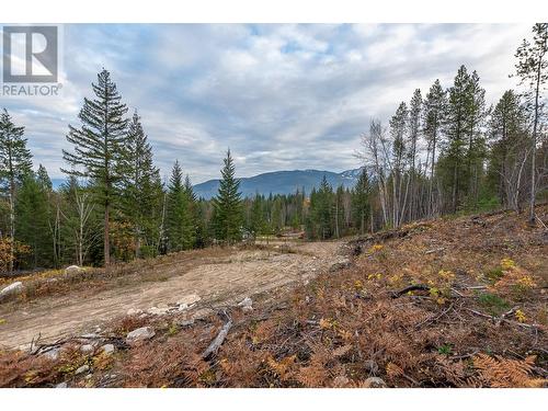 6450 1 Avenue Nw, Salmon Arm, BC 