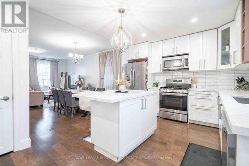 62 Guise Street E, Hamilton, ON - Indoor Photo Showing Kitchen With Stainless Steel Kitchen With Upgraded Kitchen