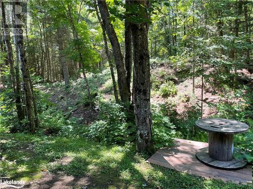 View of yard - 1010 Fern Glen Road, Emsdale, ON - Outdoor