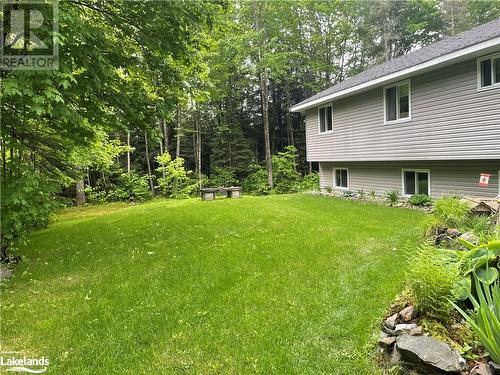 View of yard - 1010 Fern Glen Road, Emsdale, ON - Outdoor