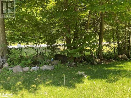 View of landscape - 1010 Fern Glen Road, Emsdale, ON - Outdoor