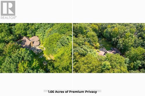 Look at the privacy!  Not a neighbor in sight! - 10342 Beach O' Pines Road, Lambton Shores (Grand Bend), ON - Other