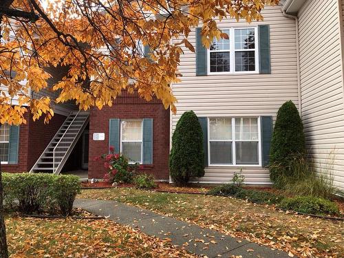 Back facade - 8320 7E Avenue, Saint-Georges, QC - Outdoor With Exterior