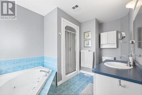 541 Breezewood, Windsor, ON - Indoor Photo Showing Bathroom