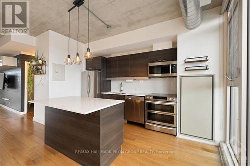 527 - 349 Mcleod Street, Ottawa, ON - Indoor Photo Showing Kitchen With Upgraded Kitchen