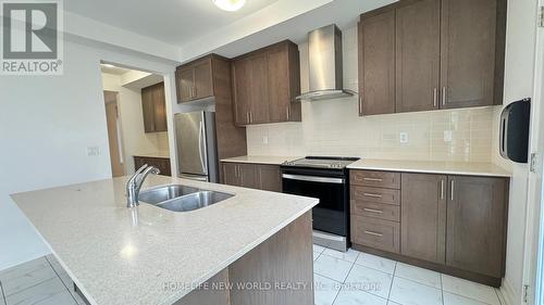 31 Concert Hill Way, East Gwillimbury, ON - Indoor Photo Showing Kitchen With Double Sink With Upgraded Kitchen