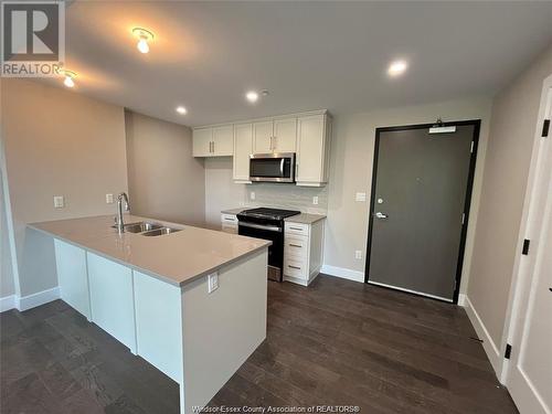 140 Main Street East Unit# 208, Kingsville, ON - Indoor Photo Showing Kitchen With Double Sink