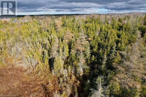 Bird's eye view - 1 Williamson Place, South Bruce Peninsula, ON - Outdoor With View