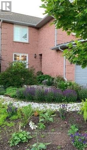 189 Ryerson Road, Oakville, ON - Outdoor