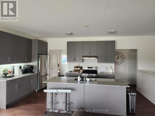 133 Ellen Street S, North Perth, ON - Indoor Photo Showing Kitchen With Stainless Steel Kitchen With Double Sink