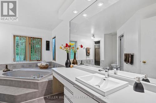 6 Ainsley Court, London, ON - Indoor Photo Showing Bathroom