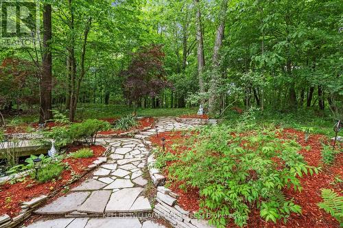 6 Ainsley Court, London, ON - Outdoor