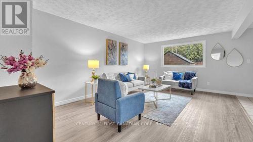 117 Ashbury Avenue, London, ON - Indoor Photo Showing Living Room