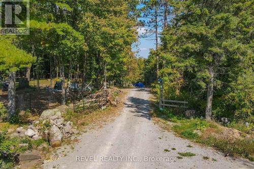 1 Ties Mountain Road, Galway-Cavendish And Harvey, ON - Outdoor With View