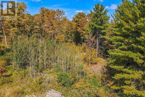 1 Ties Mountain Road, Galway-Cavendish And Harvey, ON - Outdoor With View