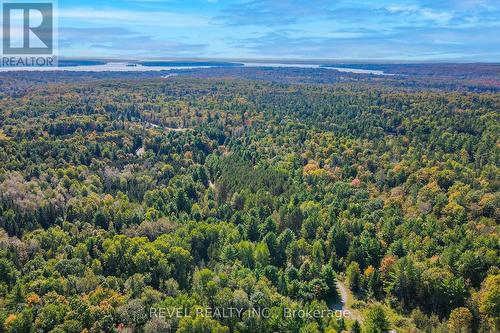 1 Ties Mountain Road, Galway-Cavendish And Harvey, ON - Outdoor With View