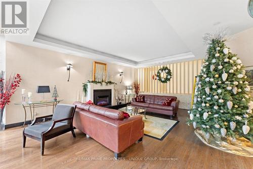 205 - 1333 Bloor Street, Mississauga, ON - Indoor Photo Showing Living Room With Fireplace