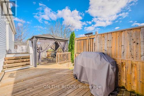 20 Golden Pond Road, Puslinch, ON - Outdoor With Deck Patio Veranda