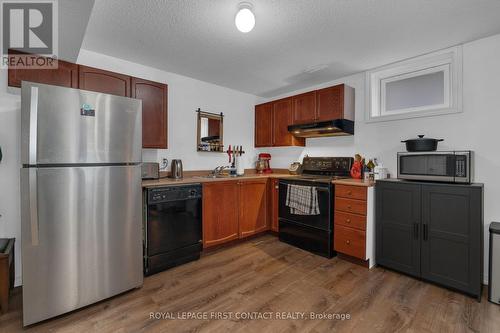 Lower - 194 Country Lane, Barrie, ON - Indoor Photo Showing Kitchen With Double Sink