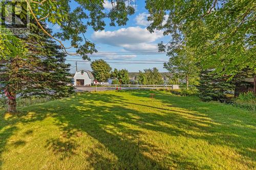 1-7 Ballfield Road, Harbour Main, NL - Outdoor With View