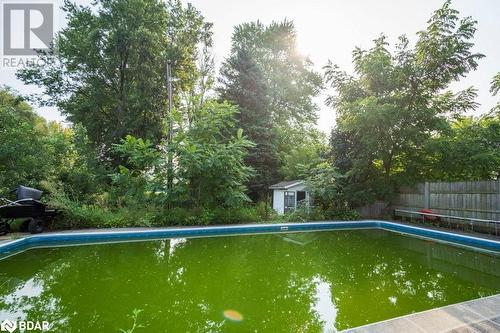 View of swimming pool - 48 North Trent Street, Frankford, ON - Outdoor With In Ground Pool With Backyard