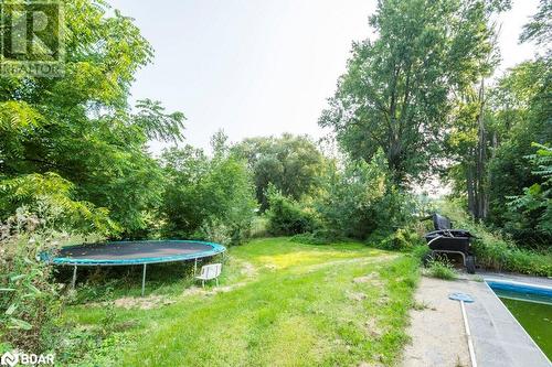 View of yard featuring a trampoline - 48 North Trent Street, Frankford, ON - Outdoor With Backyard