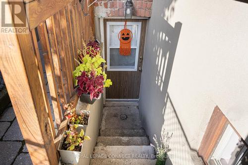 33 Beatrice Street, Toronto, ON - Indoor Photo Showing Other Room