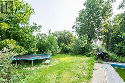 48 North Trent Street, Quinte West, ON - Outdoor With Backyard