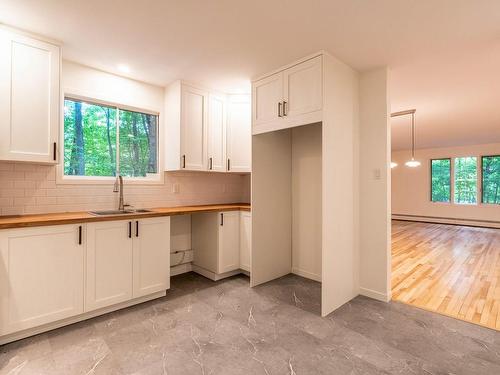 Cuisine - 1180 Rue Walton, Sherbrooke (Les Nations), QC - Indoor Photo Showing Kitchen With Double Sink