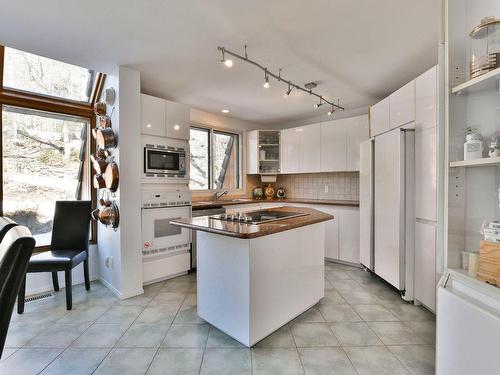 Kitchen - 14 Ch. Du Mont-Maribou, Saint-Sauveur, QC - Indoor Photo Showing Kitchen