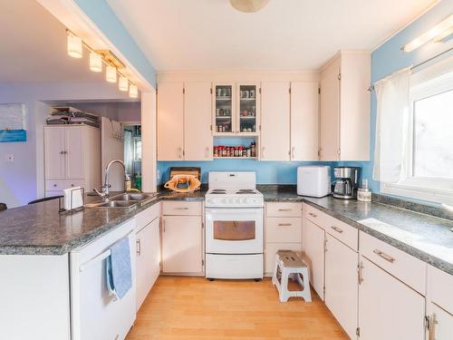 233 Third Street N, Kenora, ON - Indoor Photo Showing Kitchen With Double Sink