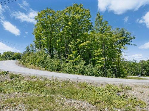 Land/Lot - 67 Rue Dédé-Fortin, Cantley, QC 