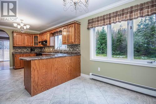 20 Gull Pond Road, Witless Bay, NL - Indoor Photo Showing Kitchen