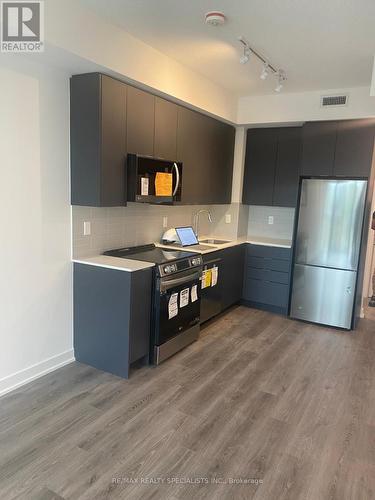 402 - 225 Malta Avenue, Brampton, ON - Indoor Photo Showing Kitchen