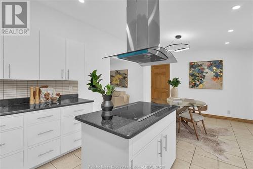 6845 Disputed Road, Lasalle, ON - Indoor Photo Showing Kitchen