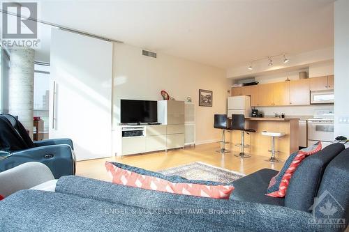 301 - 180 York Street, Ottawa, ON - Indoor Photo Showing Living Room